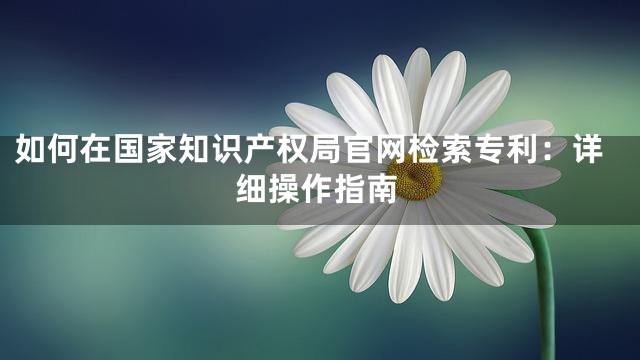 如何在国家知识产权局官网检索专利：详细操作指南