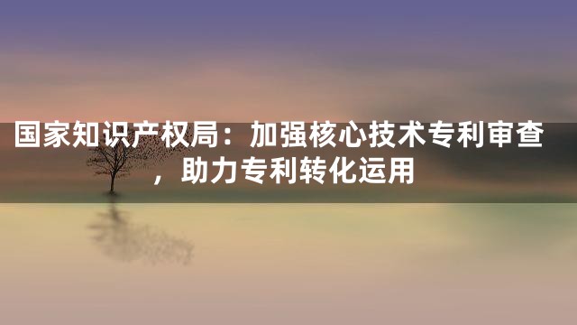 国家知识产权局：加强核心技术专利审查，助力专利转化运用
