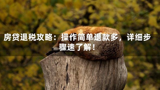 房贷退税攻略：操作简单退款多，详细步骤速了解！