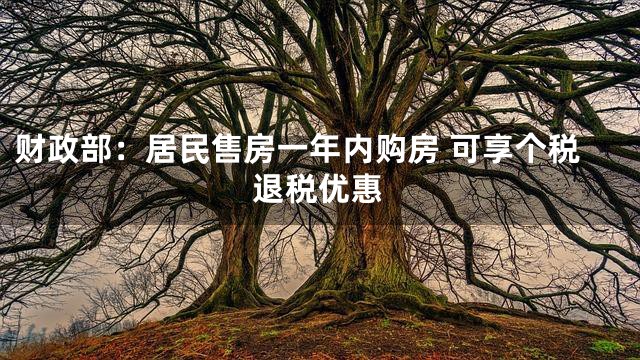 财政部：居民售房一年内购房 可享个税退税优惠