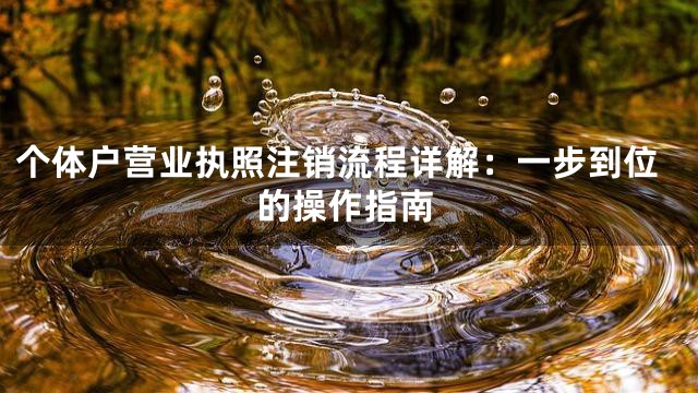 个体户营业执照注销流程详解：一步到位的操作指南