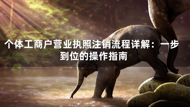 个体工商户营业执照注销流程详解：一步到位的操作指南