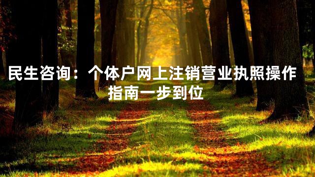 民生咨询：个体户网上注销营业执照操作指南一步到位
