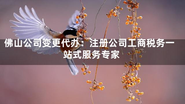 佛山公司变更代办：注册公司工商税务一站式服务专家