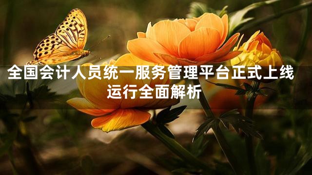 全国会计人员统一服务管理平台正式上线运行全面解析
