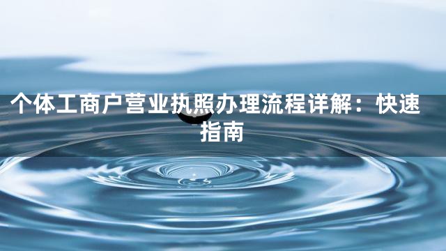 个体工商户营业执照办理流程详解：快速指南
