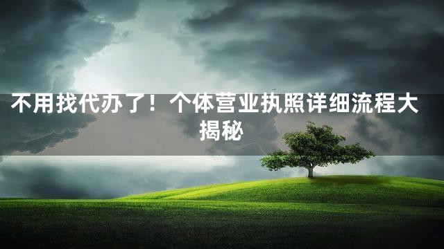 不用找代办了！个体营业执照详细流程大揭秘