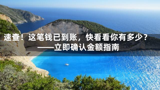 速查！这笔钱已到账，快看看你有多少？——立即确认金额指南