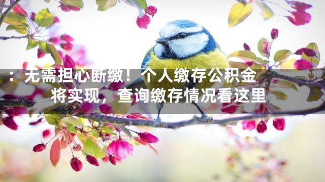 ：


无需担心断缴！个人缴存公积金将实现，查询缴存情况看这里
