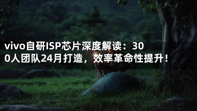 vivo自研ISP芯片深度解读：300人团队24月打造，效率革命性提升！