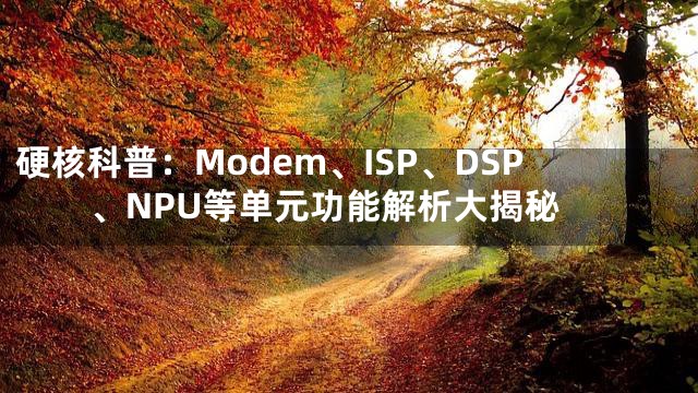 硬核科普：Modem、ISP、DSP、NPU等单元功能解析大揭秘