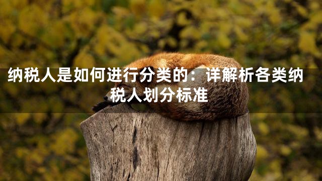 纳税人是如何进行分类的：详解析各类纳税人划分标准