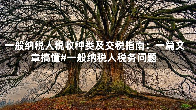 一般纳税人税收种类及交税指南：一篇文章搞懂#一般纳税人税务问题