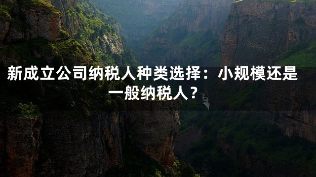 新成立公司纳税人种类选择：小规模还是一般纳税人？
