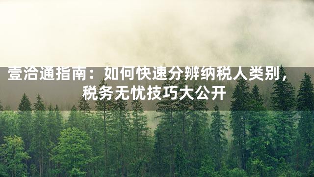 壹洽通指南：如何快速分辨纳税人类别，税务无忧技巧大公开