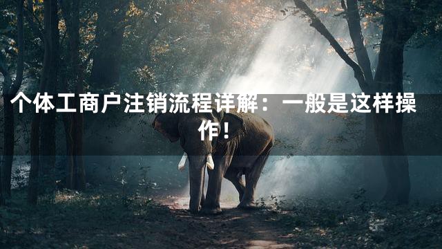 个体工商户注销流程详解：一般是这样操作！