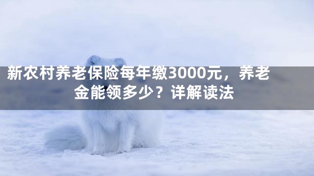 新农村养老保险每年缴3000元，养老金能领多少？详解读法
