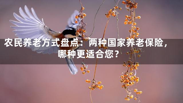 农民养老方式盘点：两种国家养老保险，哪种更适合您？