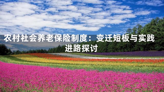 农村社会养老保险制度：变迁短板与实践进路探讨