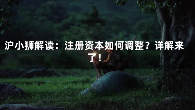 沪小狮解读：注册资本如何调整？详解来了！