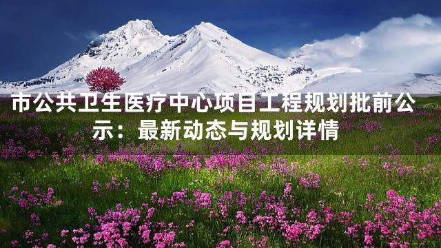 市公共卫生医疗中心项目工程规划批前公示：最新动态与规划详情