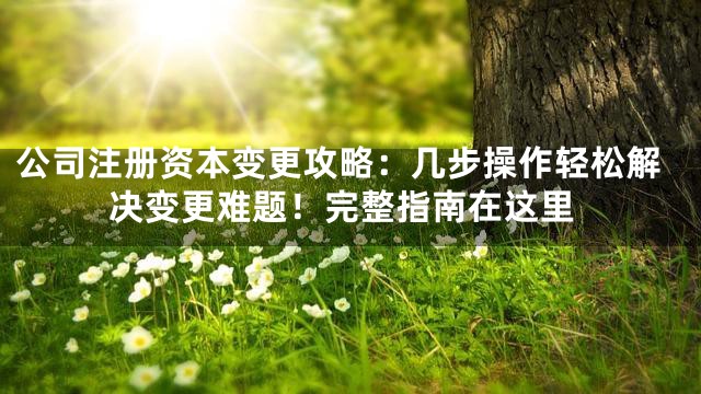 公司注册资本变更攻略：几步操作轻松解决变更难题！完整指南在这里