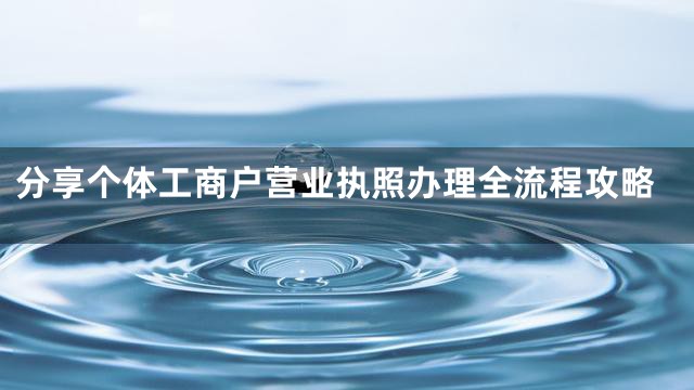 分享个体工商户营业执照办理全流程攻略
