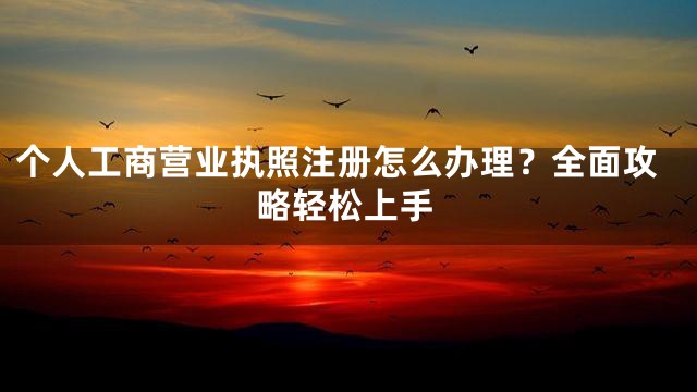 个人工商营业执照注册怎么办理？全面攻略轻松上手