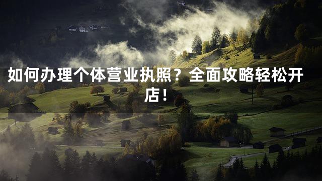 如何办理个体营业执照？全面攻略轻松开店！