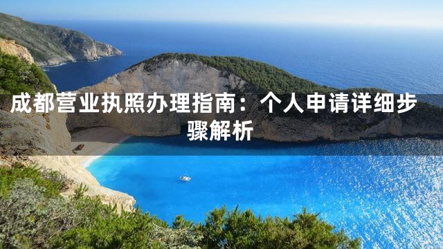 成都营业执照办理指南：个人申请详细步骤解析