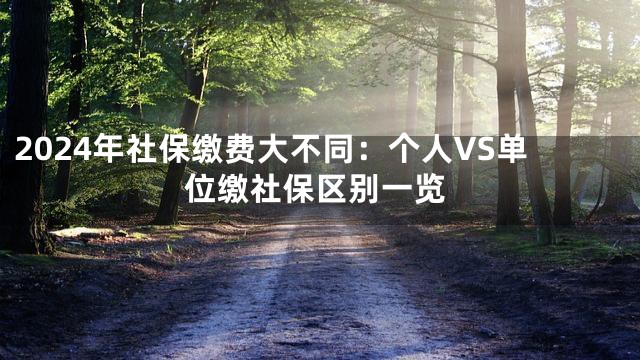 2024年社保缴费大不同：个人VS单位缴社保区别一览