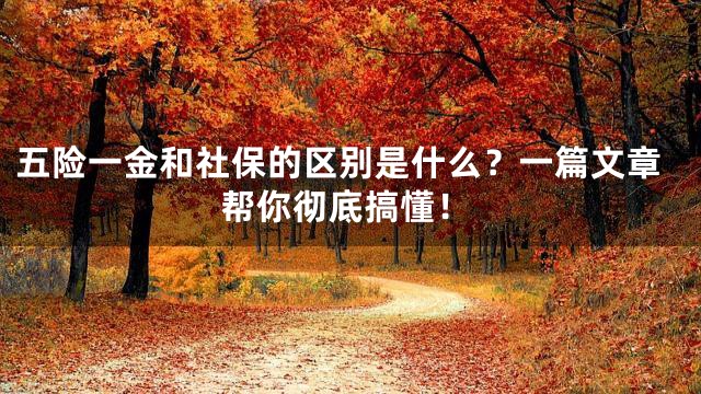 五险一金和社保的区别是什么？一篇文章帮你彻底搞懂！