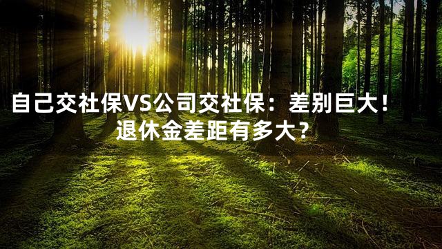 自己交社保VS公司交社保：差别巨大！退休金差距有多大？