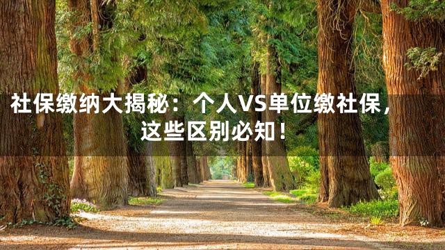 社保缴纳大揭秘：个人VS单位缴社保，这些区别必知！