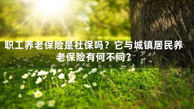 职工养老保险是社保吗？它与城镇居民养老保险有何不同？