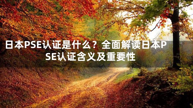 日本PSE认证是什么？全面解读日本PSE认证含义及重要性