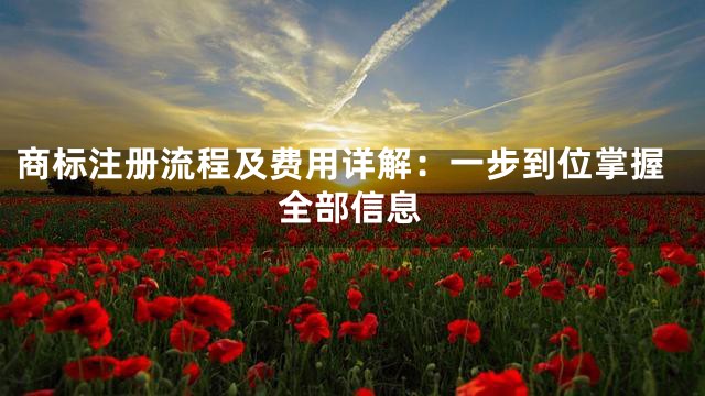 商标注册流程及费用详解：一步到位掌握全部信息