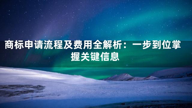 商标申请流程及费用全解析：一步到位掌握关键信息