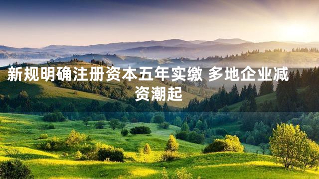 新规明确注册资本五年实缴 多地企业减资潮起