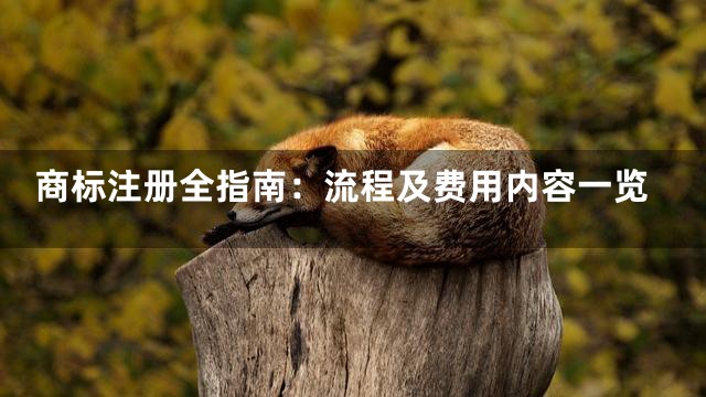 商标注册全指南：流程及费用内容一览