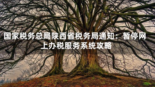 国家税务总局陕西省税务局通知：暂停网上办税服务系统攻略