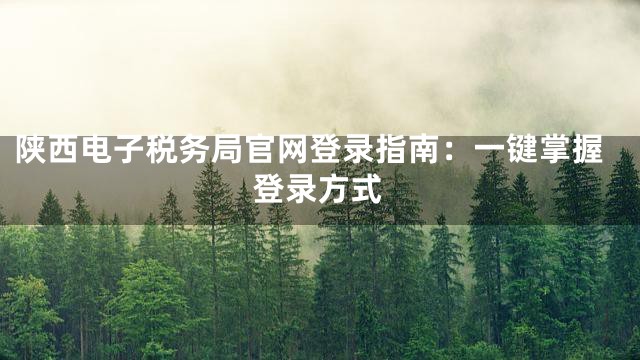 陕西电子税务局官网登录指南：一键掌握登录方式