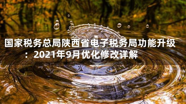 国家税务总局陕西省电子税务局功能升级：2021年9月优化修改详解