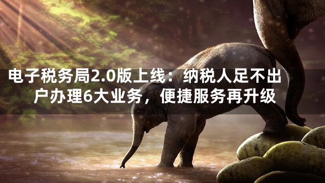 电子税务局2.0版上线：纳税人足不出户办理6大业务，便捷服务再升级
