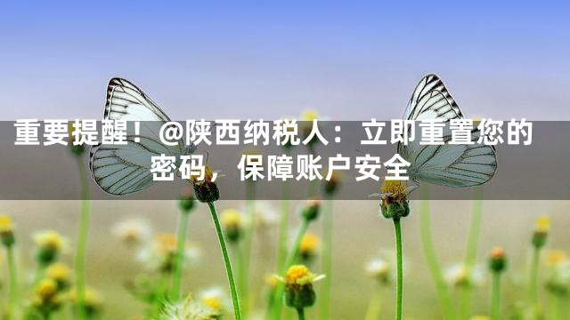 重要提醒！@陕西纳税人：立即重置您的密码，保障账户安全