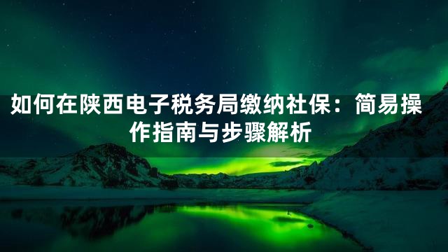如何在陕西电子税务局缴纳社保：简易操作指南与步骤解析