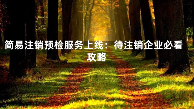 简易注销预检服务上线：待注销企业必看攻略