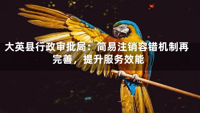 大英县行政审批局：简易注销容错机制再完善，提升服务效能