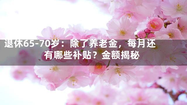 退休65-70岁：除了养老金，每月还有哪些补贴？金额揭秘