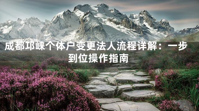 成都邛崃个体户变更法人流程详解：一步到位操作指南